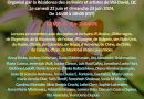 29° Festival de Escritoras, Escritores y Artistas de Val David, Quebec, Canadá, Junio de 2024